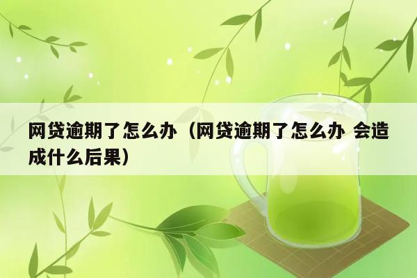 网贷逾期了怎么办（网贷逾期了怎么办 会造成什么后果） 