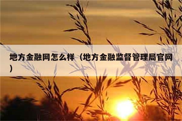 地方金融网怎么样（地方金融监督管理局官网） 