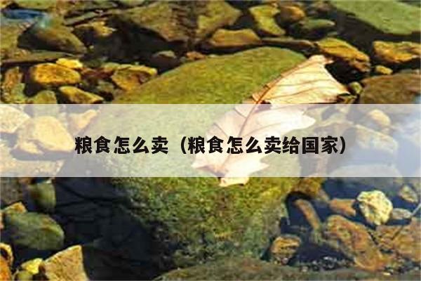 粮食怎么卖（粮食怎么卖给国家） 