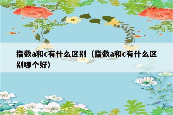 指数a和c有什么区别（指数a和c有什么区别哪个好） 