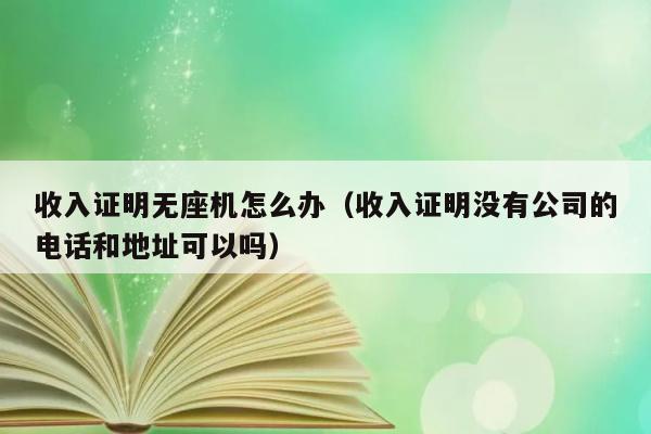 收入证明无座机怎么办（收入证明没有公司的电话和地址可以吗） 