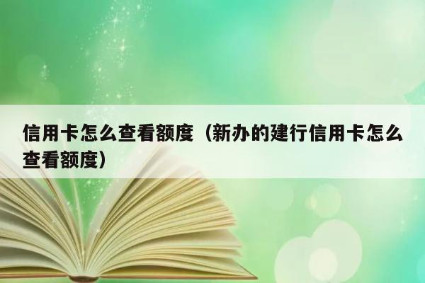 信用卡怎么查看额度（新办的建行信用卡怎么查看额度） 