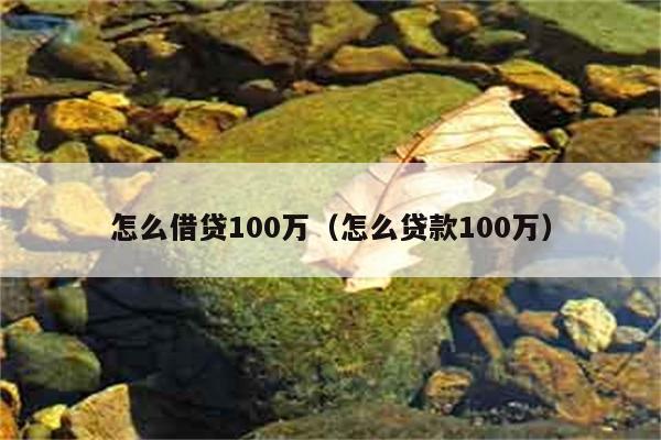 怎么借贷100万（怎么贷款100万） 