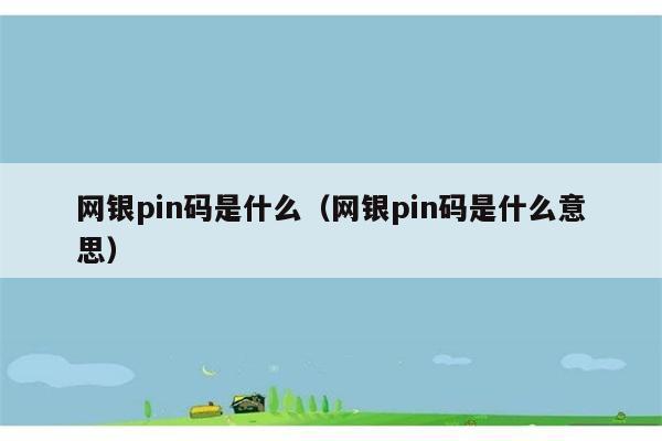 网银pin码是什么（网银pin码是什么意思） 