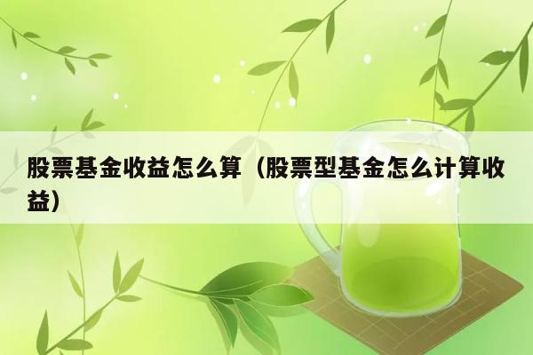 股票基金收益怎么算（股票型基金怎么计算收益） 