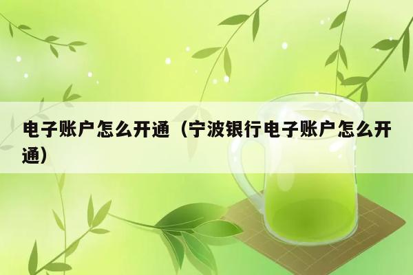 电子账户怎么开通（宁波银行电子账户怎么开通） 