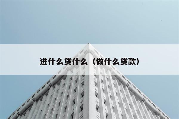 进什么贷什么（做什么贷款） 