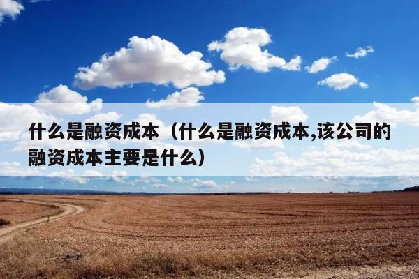 什么是融资成本（什么是融资成本,该公司的融资成本主要是什么） 