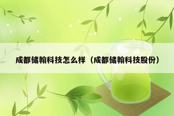 成都储翰科技怎么样（成都储翰科技股份） 