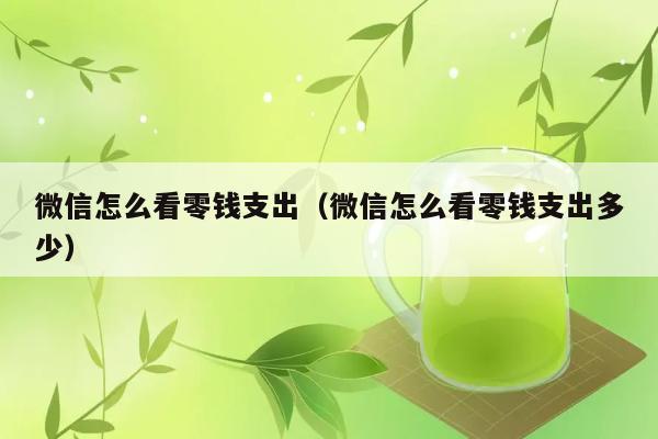 微信怎么看零钱支出（微信怎么看零钱支出多少） 