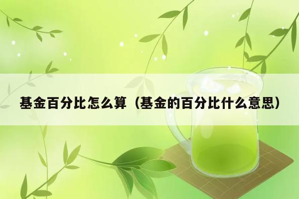 基金百分比怎么算（基金的百分比什么意思） 