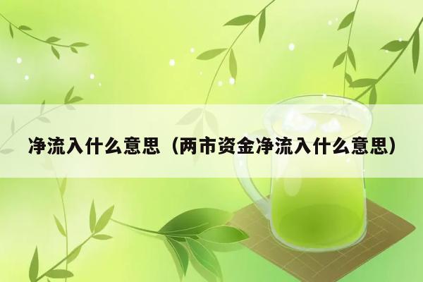 净流入什么意思（两市资金净流入什么意思） 