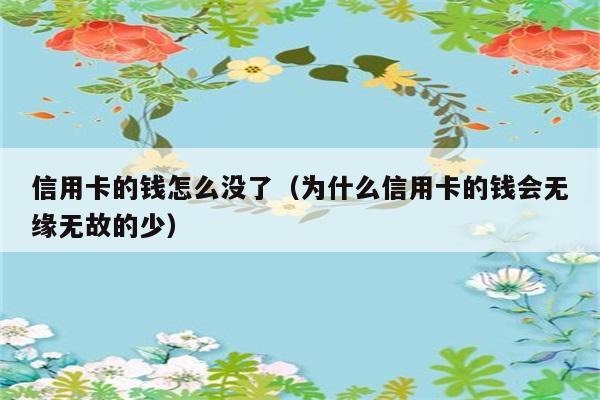 信用卡的钱怎么没了（为什么信用卡的钱会无缘无故的少） 