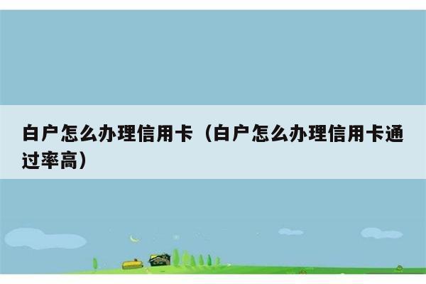 白户怎么办理信用卡（白户怎么办理信用卡通过率高） 