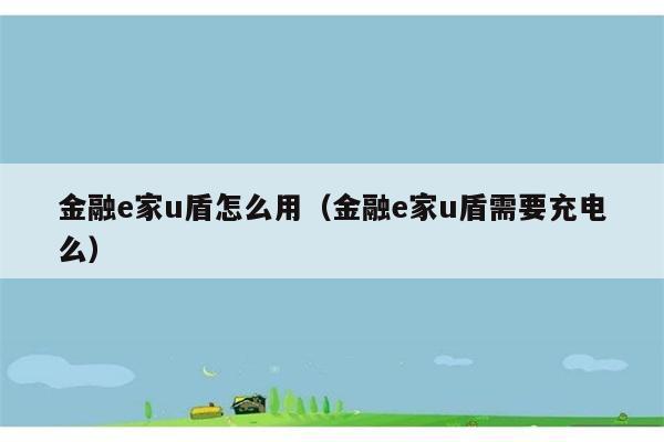 金融e家u盾怎么用（金融e家u盾需要充电么） 