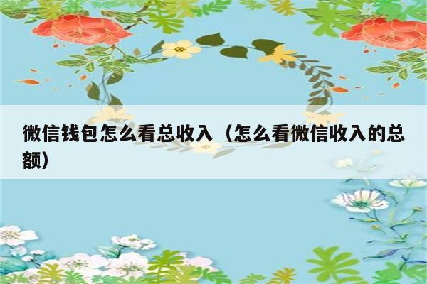 微信钱包怎么看总收入（怎么看微信收入的总额） 