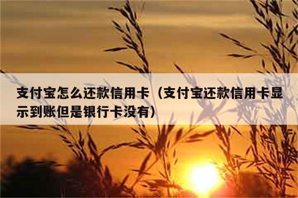 支付宝怎么还款信用卡（支付宝还款信用卡显示到账但是银行卡没有） 