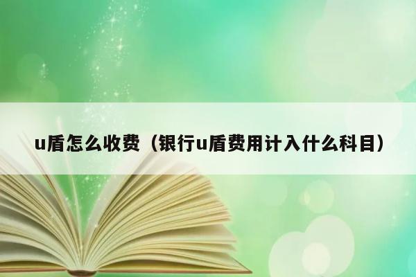 u盾怎么收费（银行u盾费用计入什么科目） 