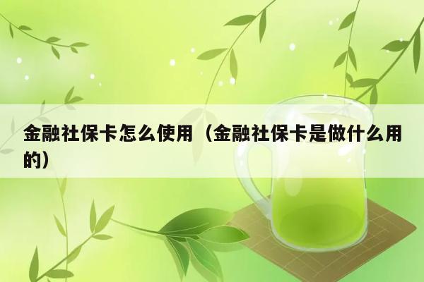 金融社保卡怎么使用（金融社保卡是做什么用的） 