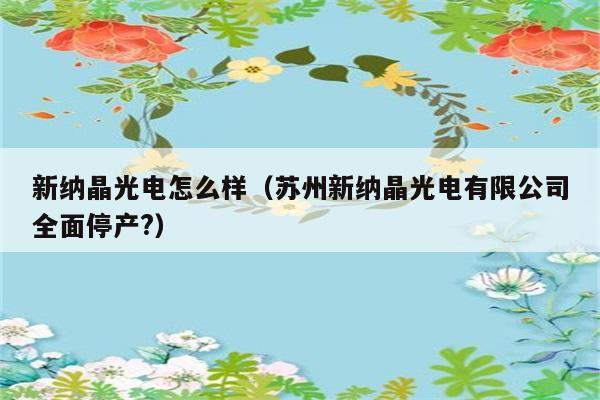 新纳晶光电怎么样（苏州新纳晶光电有限公司全面停产?） 