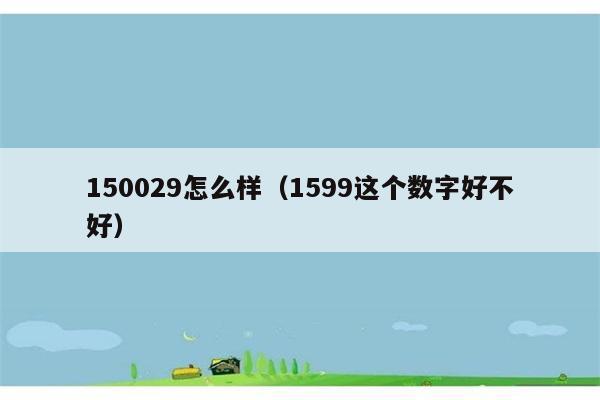 150029怎么样（1599这个数字好不好） 