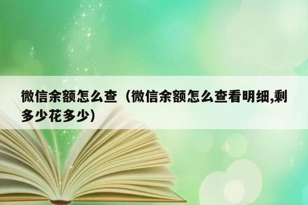 微信余额怎么查（微信余额怎么查看明细,剩多少花多少） 