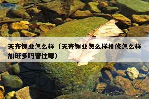 天齐锂业怎么样（天齐锂业怎么样机修怎么样加班多吗管住哪） 