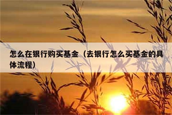 怎么在银行购买基金（去银行怎么买基金的具体流程） 