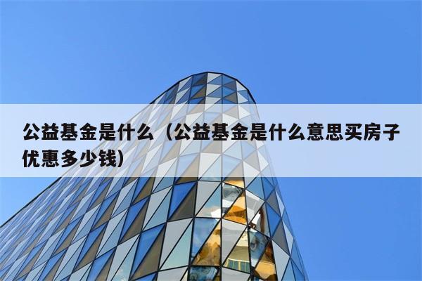 公益基金是什么（公益基金是什么意思买房子优惠多少钱） 