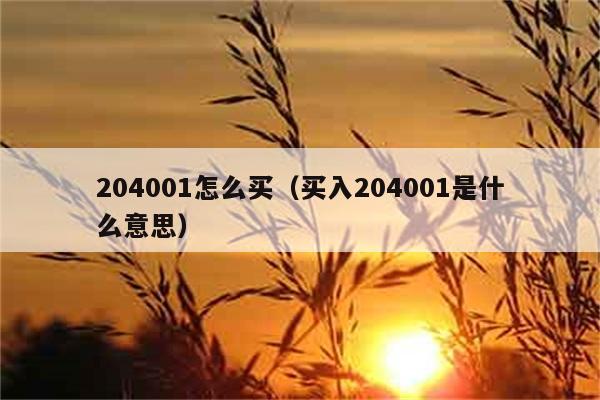 204001怎么买（买入204001是什么意思） 