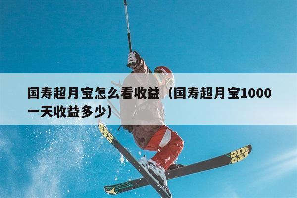 国寿超月宝怎么看收益（国寿超月宝1000一天收益多少） 