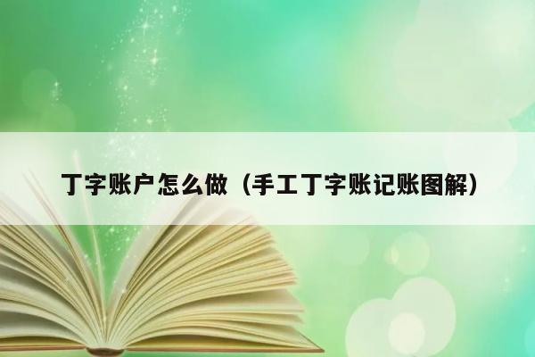 丁字账户怎么做（手工丁字账记账图解） 