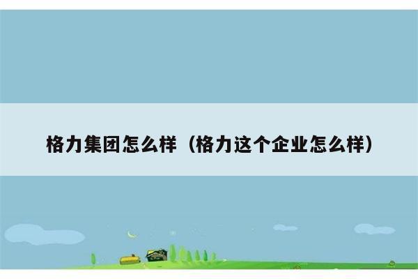 格力集团怎么样（格力这个企业怎么样） 