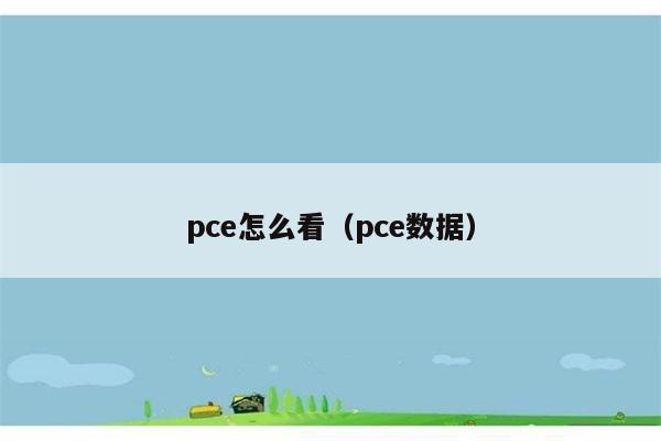 pce怎么看（pce数据） 