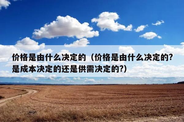 价格是由什么决定的（价格是由什么决定的?是成本决定的还是供需决定的?） 