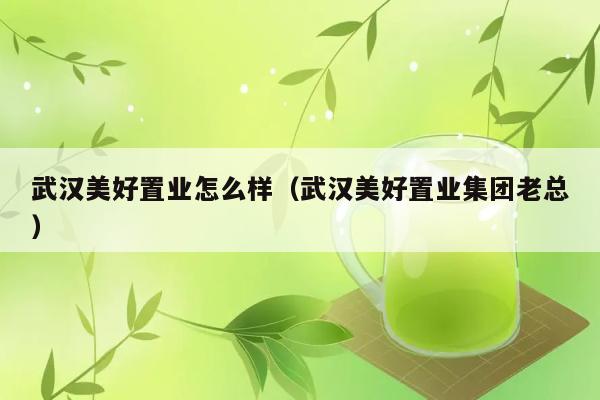 武汉美好置业怎么样（武汉美好置业集团老总） 