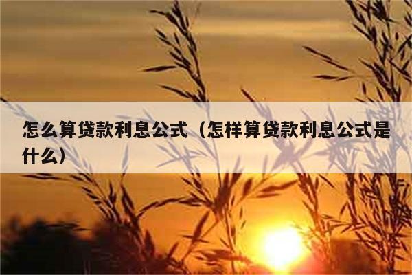 怎么算贷款利息公式（怎样算贷款利息公式是什么） 