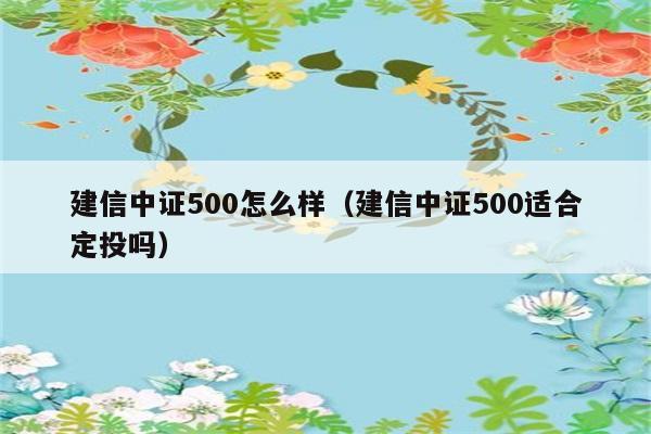 建信中证500怎么样（建信中证500适合定投吗） 