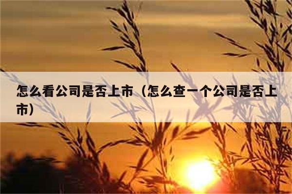 怎么看公司是否上市（怎么查一个公司是否上市） 