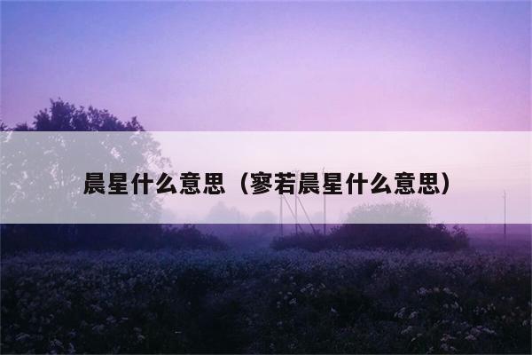 晨星什么意思（寥若晨星什么意思） 