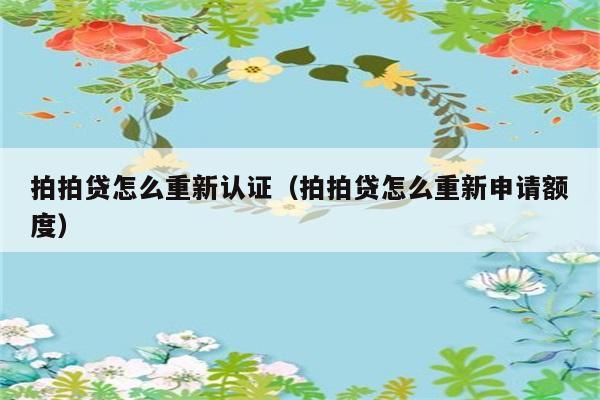 拍拍贷怎么重新认证（拍拍贷怎么重新申请额度） 