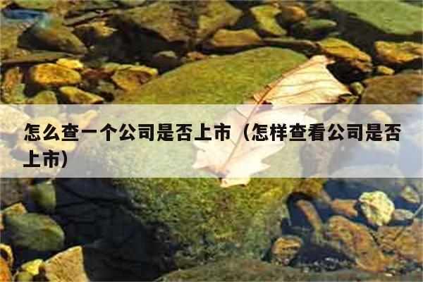 怎么查一个公司是否上市（怎样查看公司是否上市） 