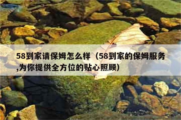 58到家请保姆怎么样（58到家的保姆服务,为你提供全方位的贴心照顾） 