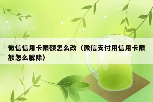 微信信用卡限额怎么改（微信支付用信用卡限额怎么解除） 