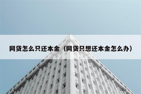 网贷怎么只还本金（网贷只想还本金怎么办） 