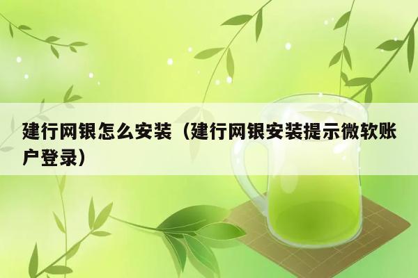 建行网银怎么安装（建行网银安装提示微软账户登录） 