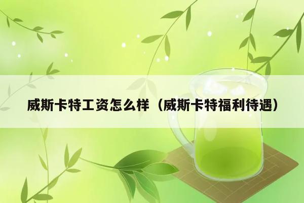 威斯卡特工资怎么样（威斯卡特福利待遇） 