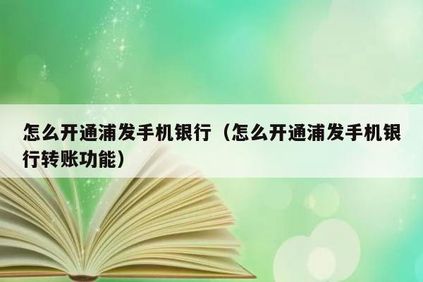 怎么开通浦发手机银行（怎么开通浦发手机银行转账功能） 