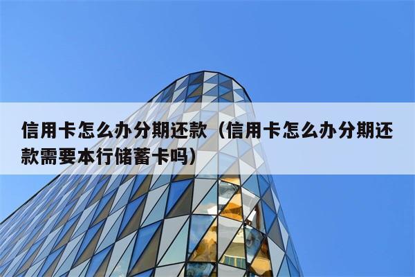 信用卡怎么办分期还款（信用卡怎么办分期还款需要本行储蓄卡吗） 