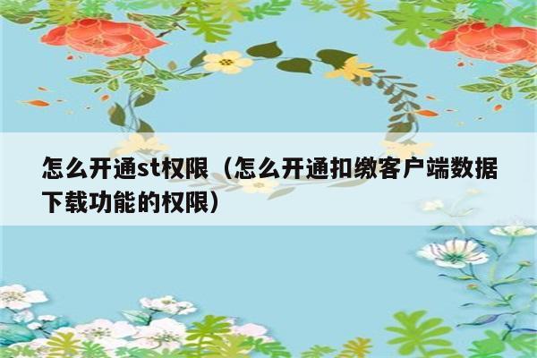 怎么开通st权限（怎么开通扣缴客户端数据下载功能的权限） 